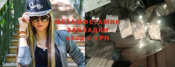 ПСИЛОЦИБИНОВЫЕ ГРИБЫ Богданович
