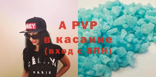 ПСИЛОЦИБИНОВЫЕ ГРИБЫ Богданович