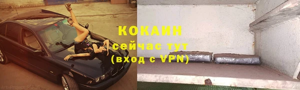 ГАЛЛЮЦИНОГЕННЫЕ ГРИБЫ Бородино
