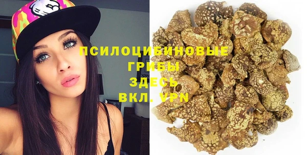 ГАЛЛЮЦИНОГЕННЫЕ ГРИБЫ Бородино