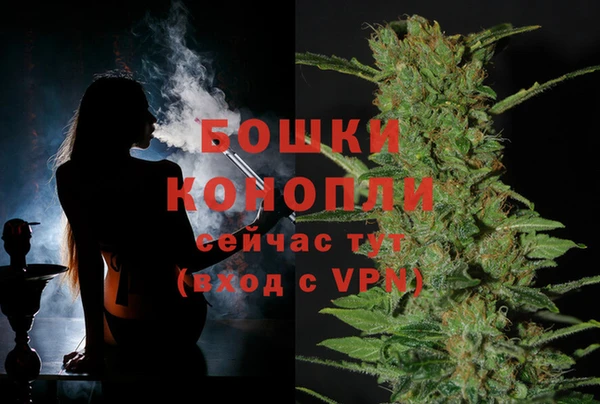ГАЛЛЮЦИНОГЕННЫЕ ГРИБЫ Бородино