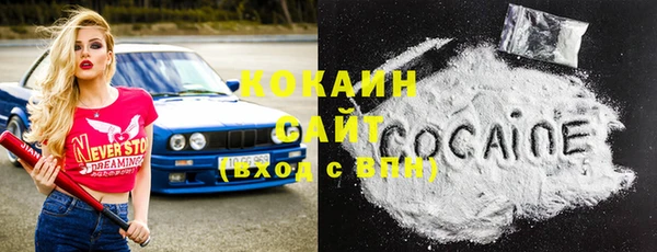 ПСИЛОЦИБИНОВЫЕ ГРИБЫ Богданович