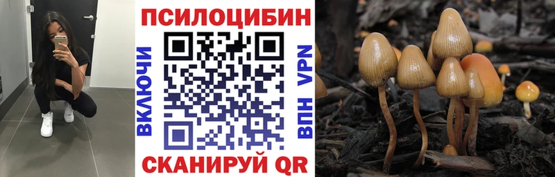 Галлюциногенные грибы Psilocybine cubensis  Дальнереченск 